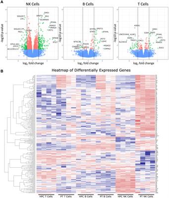 Expansion of a novel population of NK cells with low ribosome expression in juvenile dermatomyositis